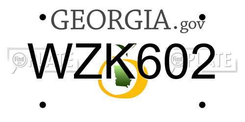 WZK602 Georgia License Plate