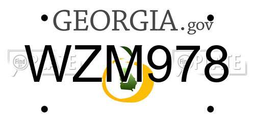 WZM978 Georgia License Plate