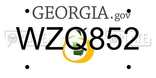 WZQ852 Georgia License Plate