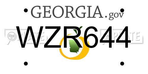 WZR644 Georgia License Plate
