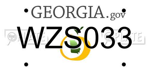 WZS033 Georgia License Plate