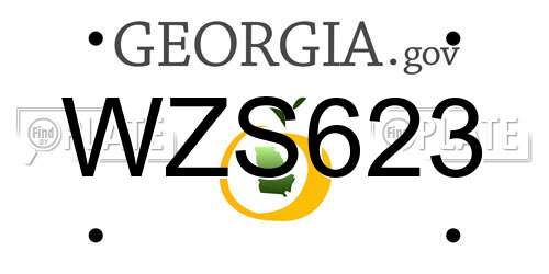 WZS623 Georgia License Plate