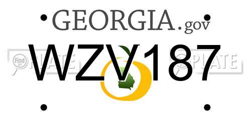 WZV187 Georgia License Plate