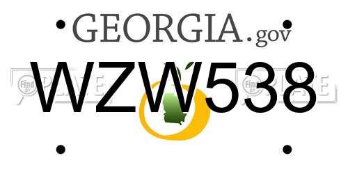 WZW538 Georgia License Plate