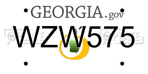 WZW575 Georgia License Plate