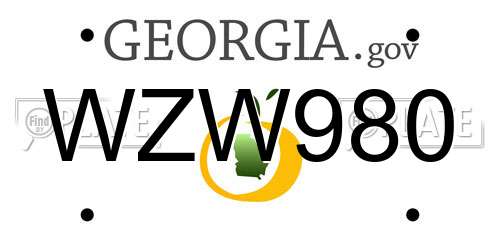 WZW980 Georgia License Plate