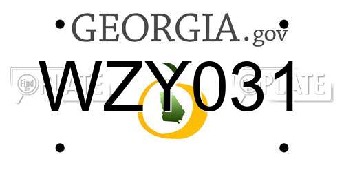 WZY031 Georgia License Plate