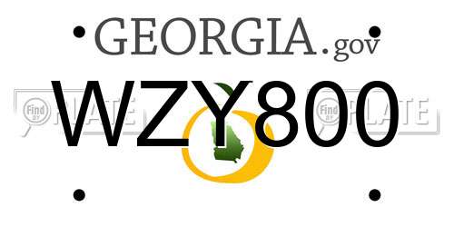 WZY800 Georgia License Plate