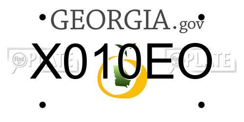X010EO Georgia License Plate
