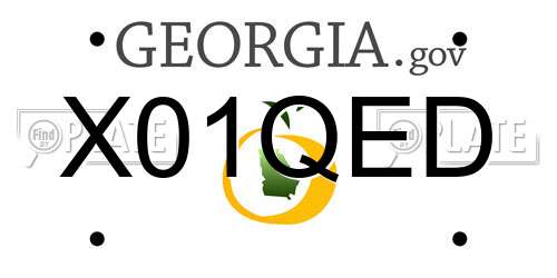 X01QED Georgia License Plate