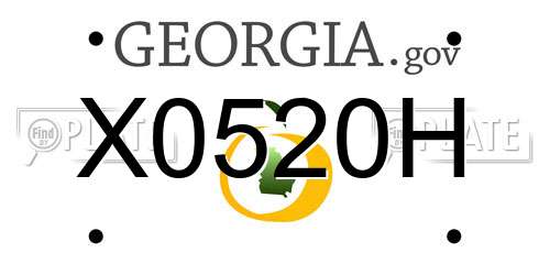 X0520H Georgia License Plate