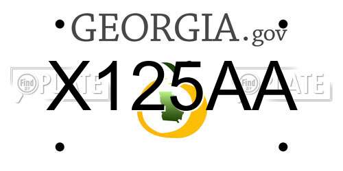 X125AA Georgia License Plate