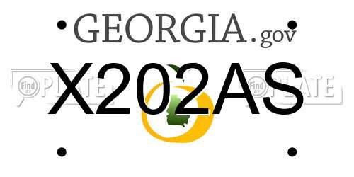 X202AS Georgia License Plate