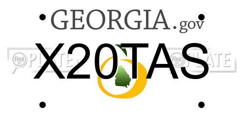 X20TAS Georgia License Plate