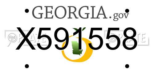 X591558 Georgia License Plate