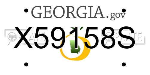 X59158S Georgia License Plate