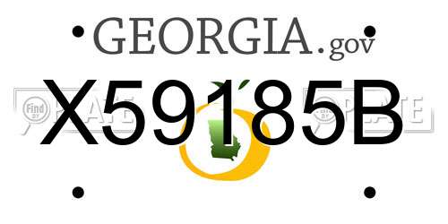 X59185B Georgia License Plate
