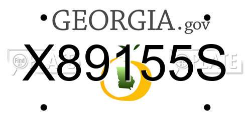X89155S Georgia License Plate