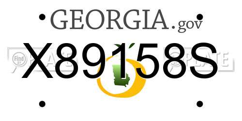 X89158S Georgia License Plate