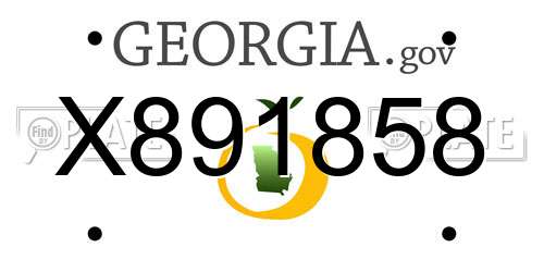 X891858 Georgia License Plate