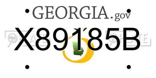 X89185B Georgia License Plate