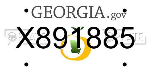 X891885 Georgia License Plate