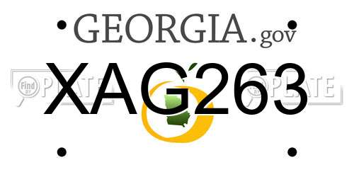 XAG263 Georgia License Plate
