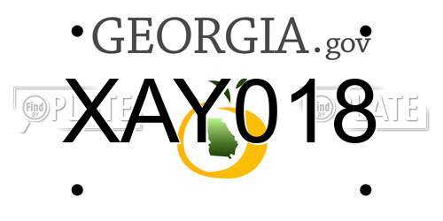 XAY018 Georgia License Plate