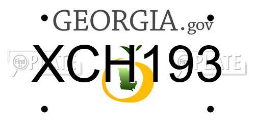 XCH193 Georgia License Plate