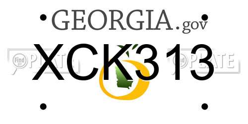 XCK313 Georgia License Plate