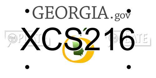 XCS216 Georgia License Plate