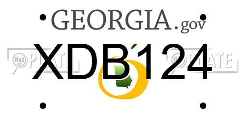 XDB124 Georgia License Plate