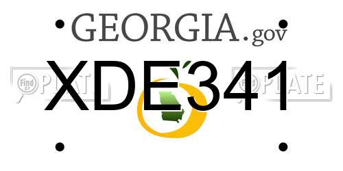 XDE341 Georgia License Plate
