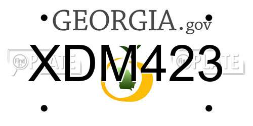 XDM423 Georgia License Plate