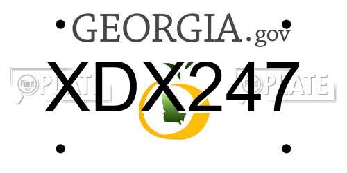 XDX247 Georgia License Plate