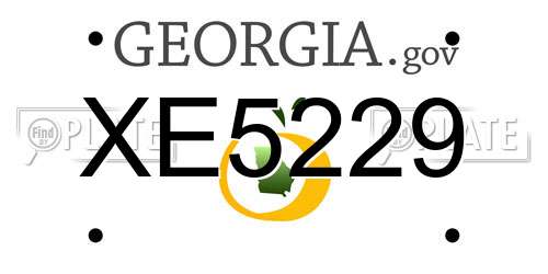 XE5229 Georgia License Plate