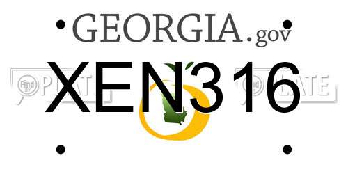 XEN316 Georgia License Plate