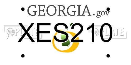 XES210 Georgia License Plate