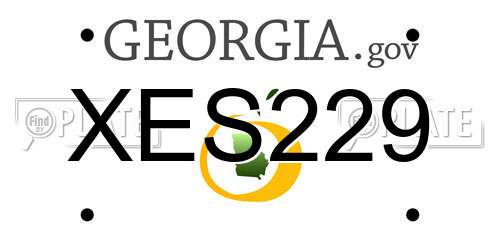XES229 Georgia License Plate