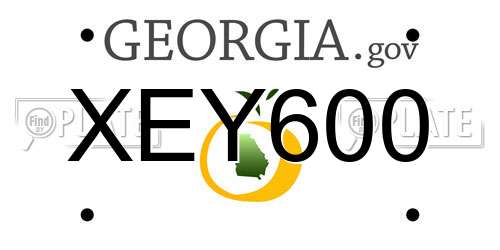 XEY600 Georgia License Plate