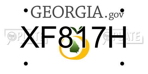 XF817H Georgia License Plate