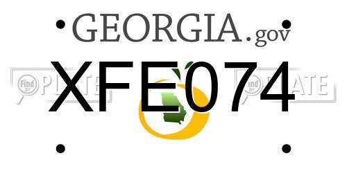 XFE074 Georgia License Plate