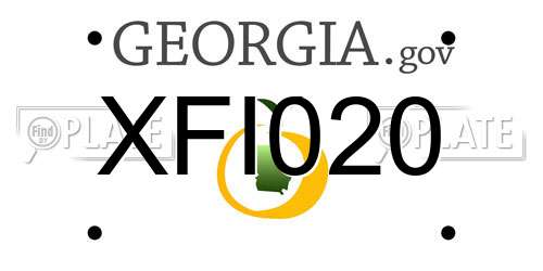 XFI020 Georgia License Plate