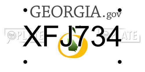 XFJ734 Georgia License Plate