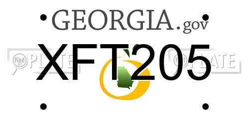 XFT205 Georgia License Plate