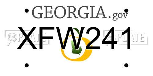 XFW241 Georgia License Plate