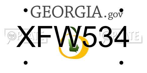 XFW534 Georgia License Plate