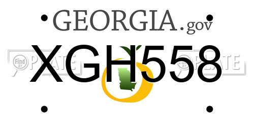 XGH558 Georgia License Plate