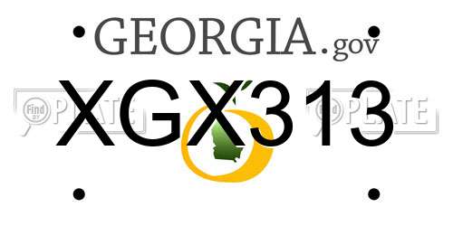 XGX313 Georgia License Plate