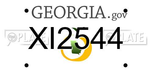 XI2544 Georgia License Plate